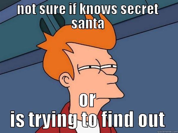 NOT SURE IF KNOWS SECRET SANTA OR IS TRYING TO FIND OUT Futurama Fry