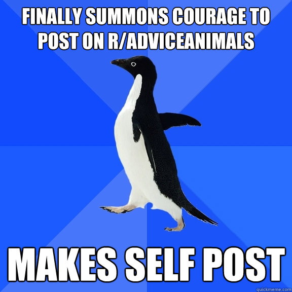 Finally summons courage to post on r/adviceanimals Makes self post  Socially Awkward Penguin