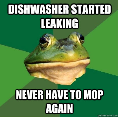 Dishwasher started leaking Never have to mop again - Dishwasher started leaking Never have to mop again  Foul Bachelor Frog