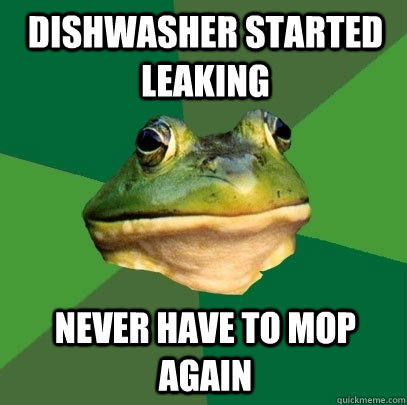 Dishwasher started leaking Never have to mop again  Foul Bachelor Frog