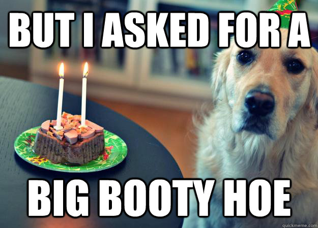 but i asked for a big booty hoe  Sad Birthday Dog