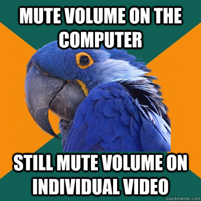Mute volume on the computer  Still mute volume on individual video - Mute volume on the computer  Still mute volume on individual video  Misc