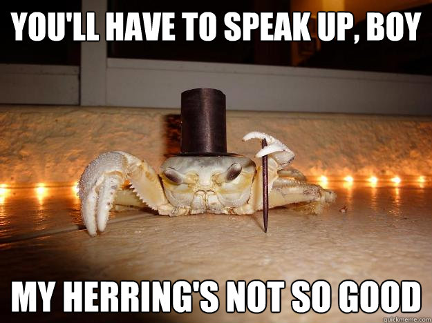 You'll have to speak up, boy My Herring's not so good - You'll have to speak up, boy My Herring's not so good  Fancy Crab