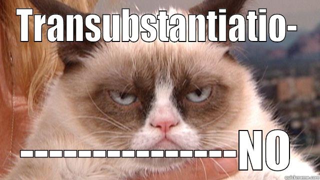 TRANSUBSTANTIATIO- ---------------NO Misc