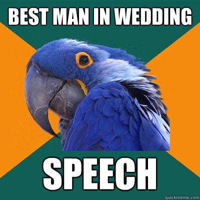 Best Man in wedding speech  Paranoid Parrot