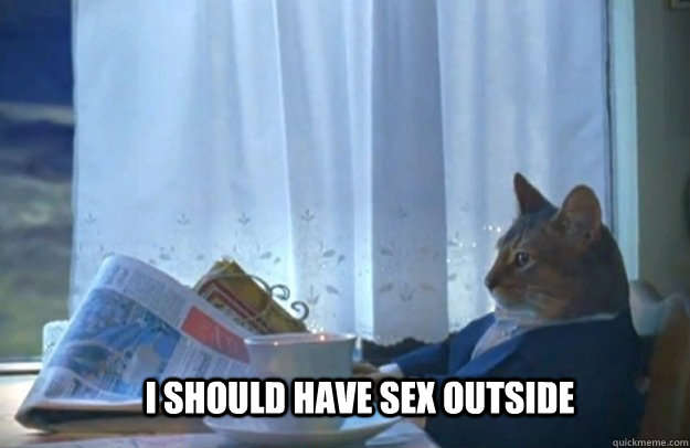 I should have sex outside  Sophisticated Cat