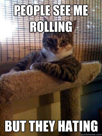 People see me rolling But they hating  The Most Interesting Cat in the World