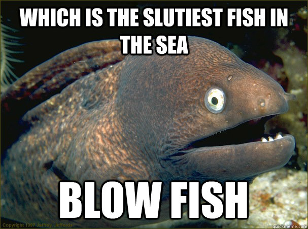 Which is the slutiest fish in the sea  Blow fish  Bad Joke Eel