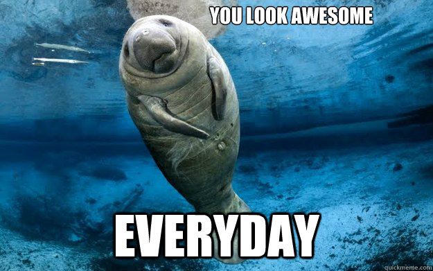 You look awesome everyday - You look awesome everyday  calming manatee