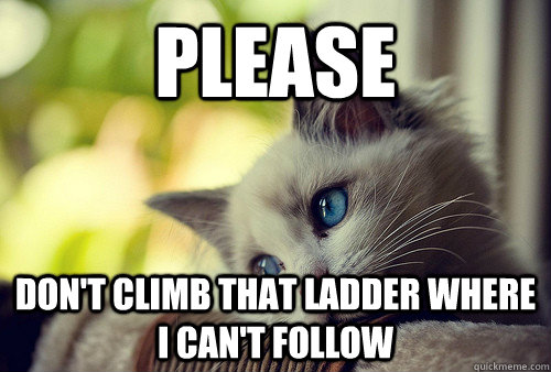 Please don't climb that ladder where I can't follow  First World Problems Cat