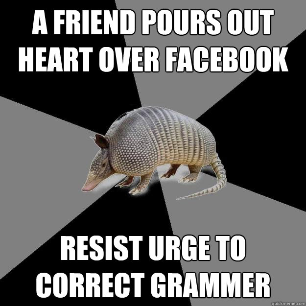 A friend pours out heart over facebook resist urge to correct grammer - A friend pours out heart over facebook resist urge to correct grammer  English Major Armadillo