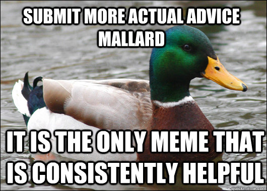 Submit more actual advice mallard It is the only meme that is consistently helpful  Actual Advice Mallard