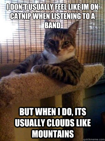I don't usually feel like im on catnip when listening to a band but when I do, its usually Clouds like Mountains  The Most Interesting Cat in the World