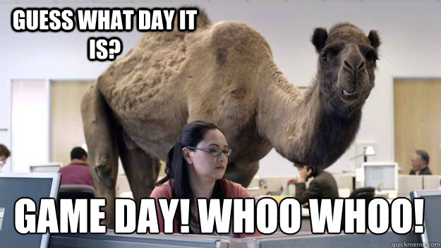 Guess what day it is? GAME DAY! WHOO WHOO!  Hump Day Camel