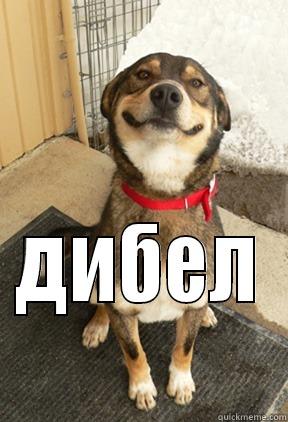  ДИБЕЛ Good Dog Greg