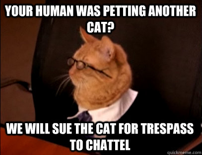 Your human was petting another cat? We will sue the cat for trespass to chattel  Lawyer Cat