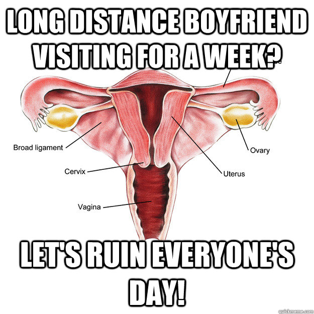 long distance Boyfriend visiting for a week? Let's ruin everyone's day!  Scumbag Uterus