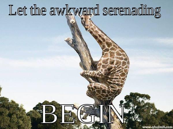 awkward giraffe - LET THE AWKWARD SERENADING BEGIN Misc