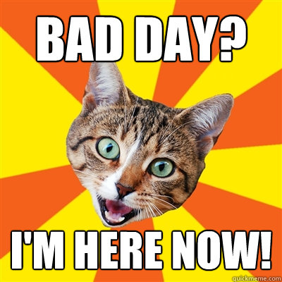 Bad day? I'm here now!  Bad Advice Cat