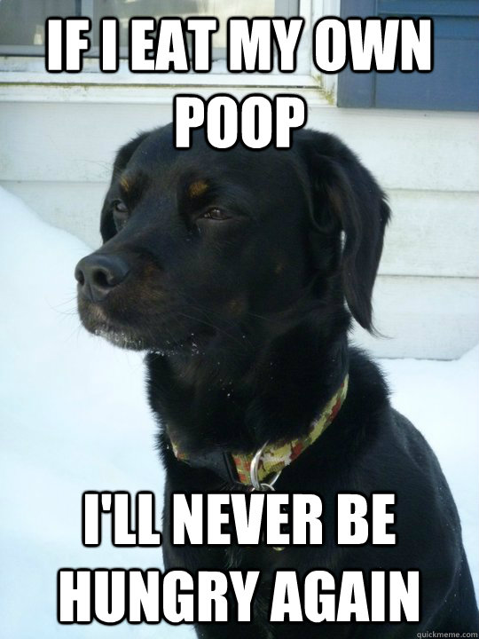 If I eat my own poop I'll never be hungry again - If I eat my own poop I'll never be hungry again  Philosophical Puppy