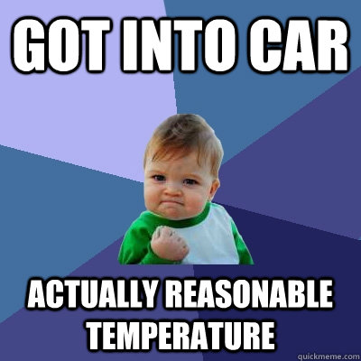 Got into car actually reasonable temperature  Success Kid