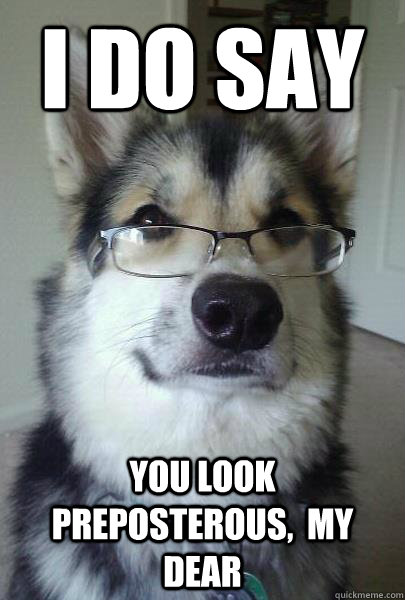 I do say you look preposterous,  my dear - I do say you look preposterous,  my dear  Intelligent Husky