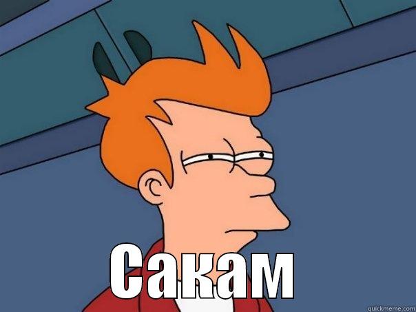  САКАМ Futurama Fry