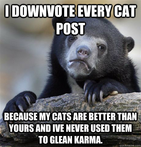 I Downvote every cat post Because my cats are better than yours and ive never used them to glean Karma.  Confession Bear