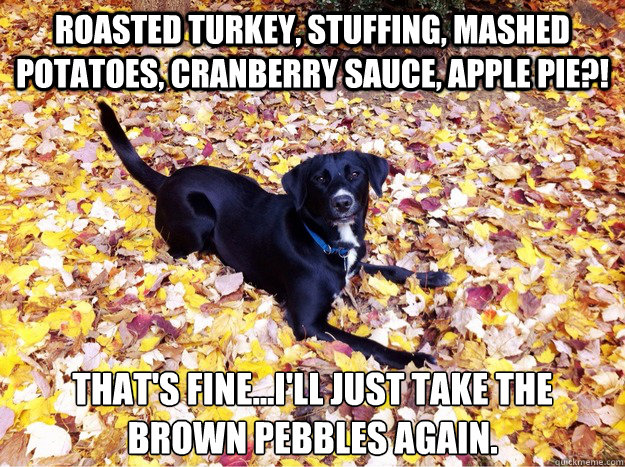 Roasted Turkey, stuffing, Mashed potatoes, cranberry sauce, apple pie?! That's fine...i'll just take the brown pebbles again.  