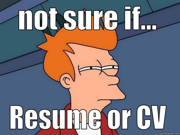 NOT SURE IF... RESUME OR CV Futurama Fry
