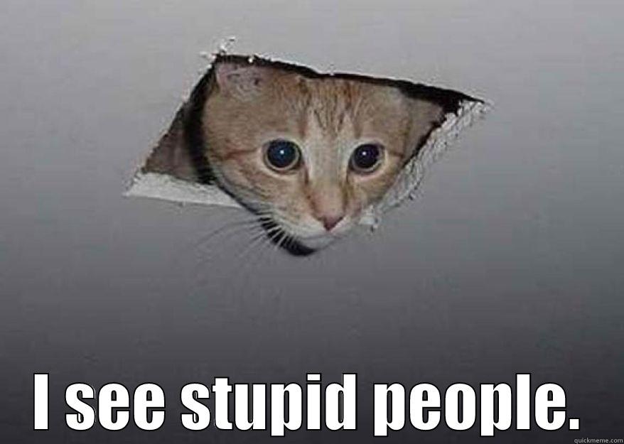  I SEE STUPID PEOPLE. Misc