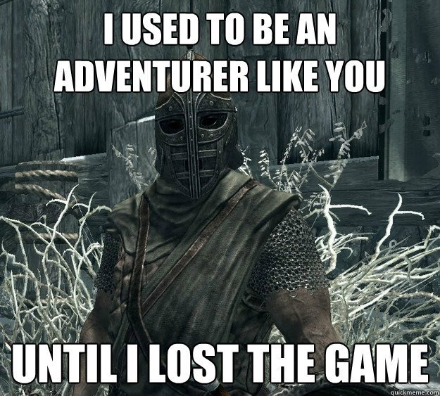 I used to be an adventurer like you Until I lost the game  Rational Skyrim Guard