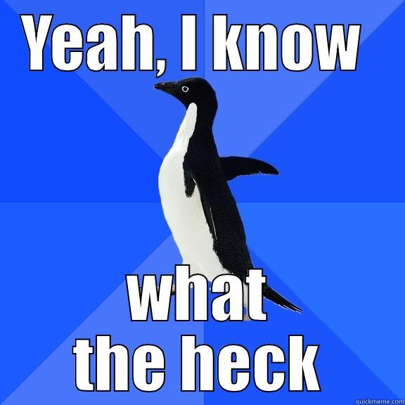 YEAH, I KNOW  WHAT THE HECK Socially Awkward Penguin