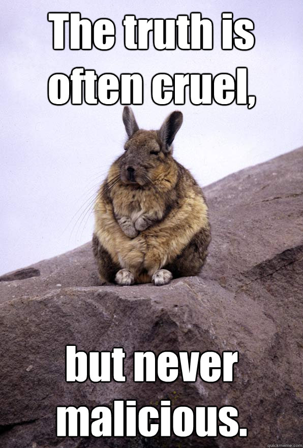 The truth is often cruel, but never malicious.  Wise Wondering Viscacha
