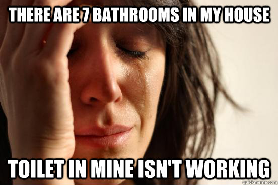 There are 7 bathrooms in my house Toilet in mine isn't working  First World Problems