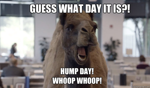 Guess what day it is?!
 HUMP DAY!
WHOOP WHOOP!  hump day