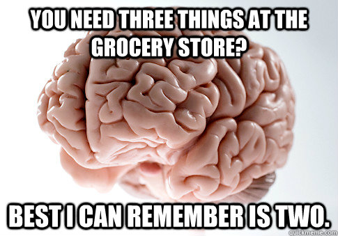 You need three things at the grocery store? Best I can remember is two.  Scumbag Brain