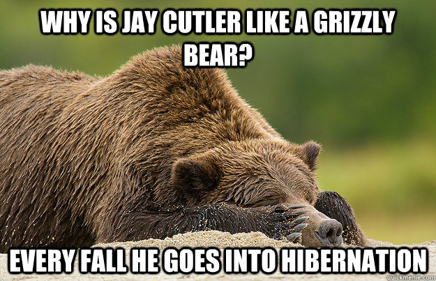 Why is Jay Cutler like a grizzly bear? Every fall he goes into hibernation - Why is Jay Cutler like a grizzly bear? Every fall he goes into hibernation  bears suck