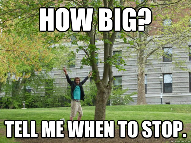 How big? Tell me when to stop. - How big? Tell me when to stop.  Gabe-Meme
