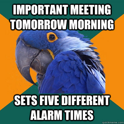 Important meeting tomorrow morning Sets five different alarm times  Paranoid Parrot