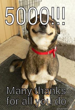 5000!!! MANY THANKS FOR ALL YOU DO Good Dog Greg