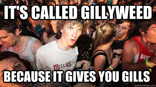 it's called Gillyweed  because it gives you gills   Sudden Clarity Clarence