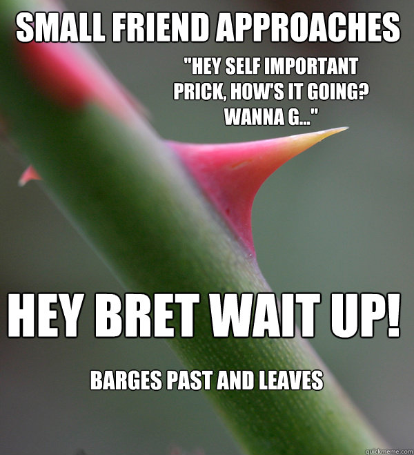 small Friend approaches hey bret wait up! 