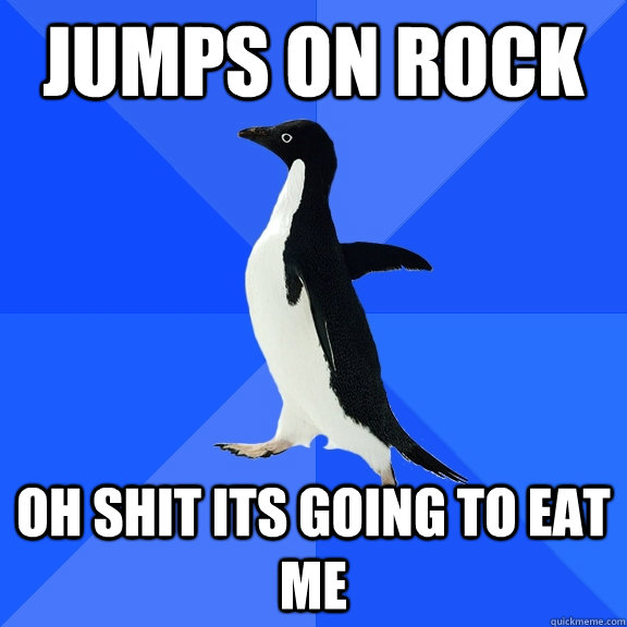 Jumps on rock OH SHIT ITS GOING TO EAT ME  Socially Awkward Penguin