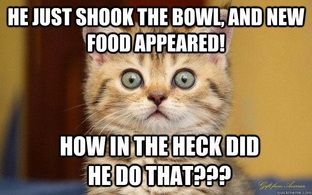 He just shook the bowl, and new food appeared! how in the heck did he do that???  Dumbfounded Kitty