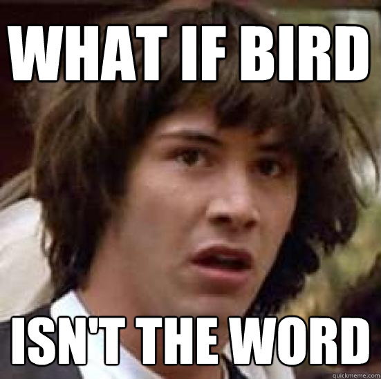 what if bird isn't the word - what if bird isn't the word  conspiracy keanu