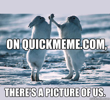  on Quickmeme.com, There's a picture of us.  Bunny Bros