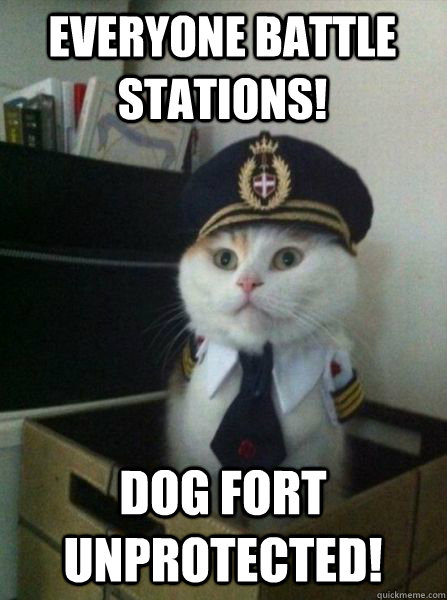 everyone battle stations! dog fort unprotected!  Captain kitteh