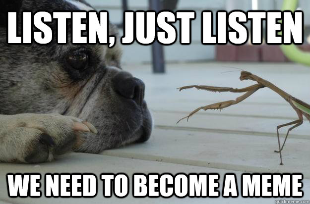 Listen, just listen we need to become a meme - Listen, just listen we need to become a meme  Lecturing Mantis