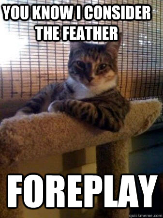 You know I consider the feather Foreplay  The Most Interesting Cat in the World